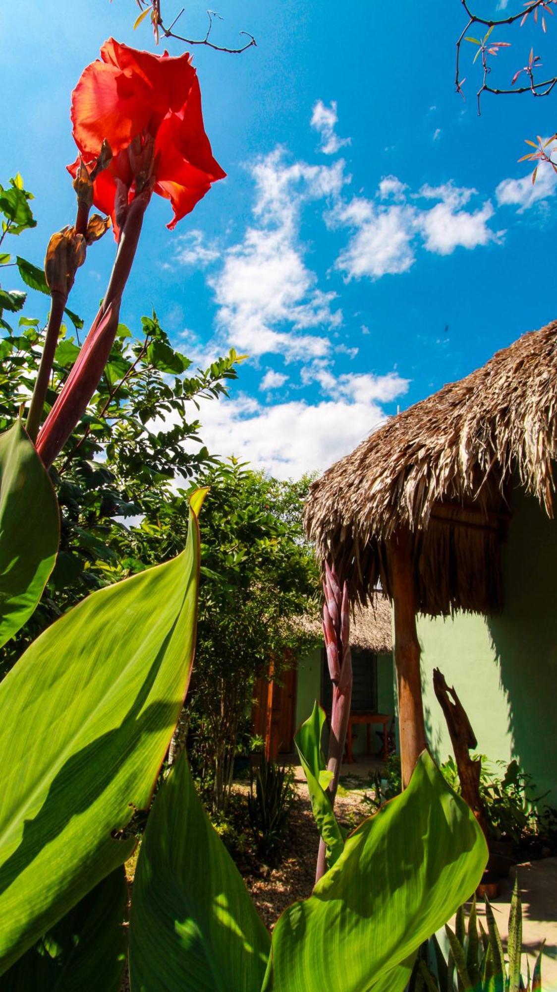 Las Palmas Bacalar Zewnętrze zdjęcie