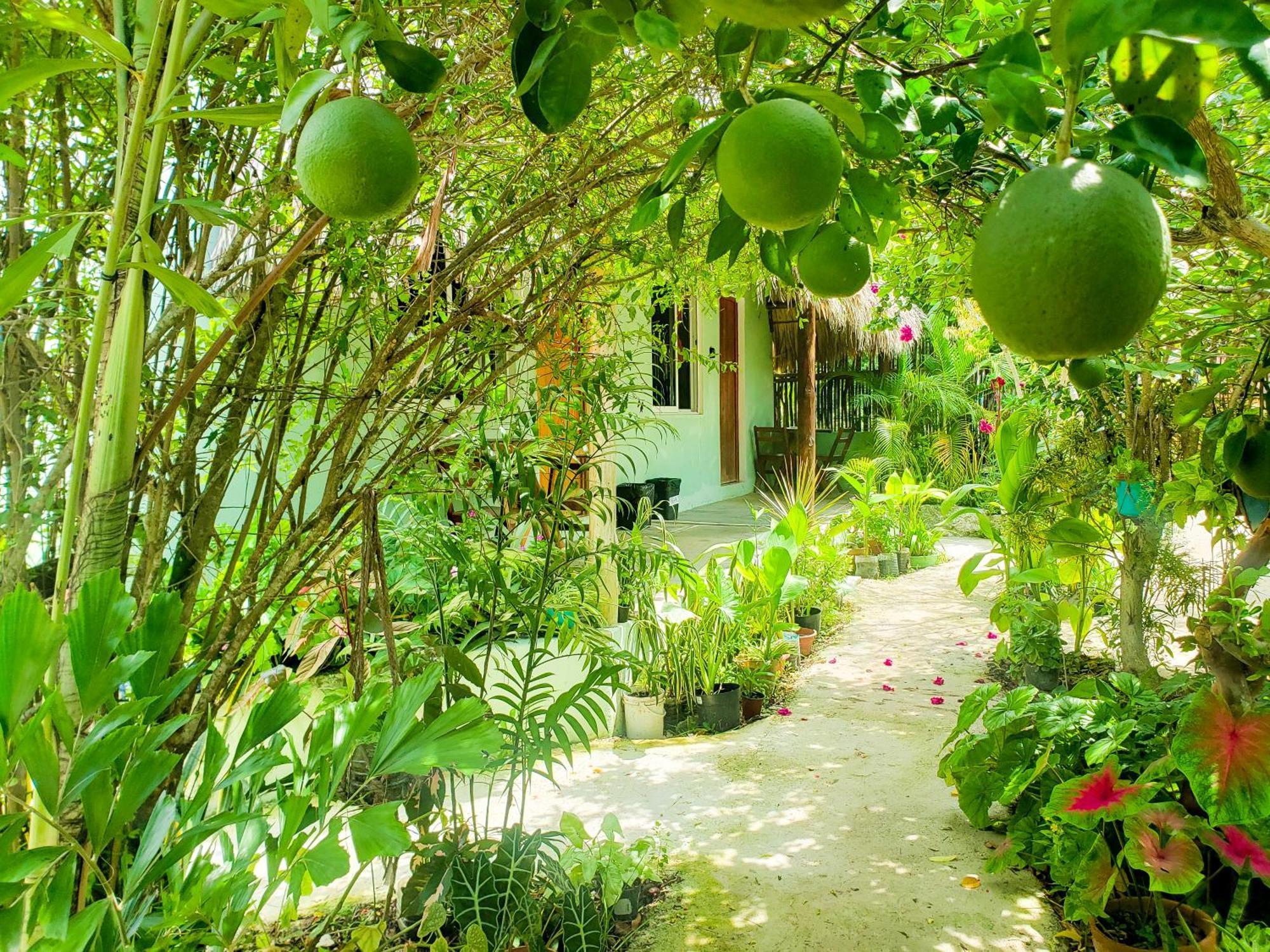 Las Palmas Bacalar Zewnętrze zdjęcie