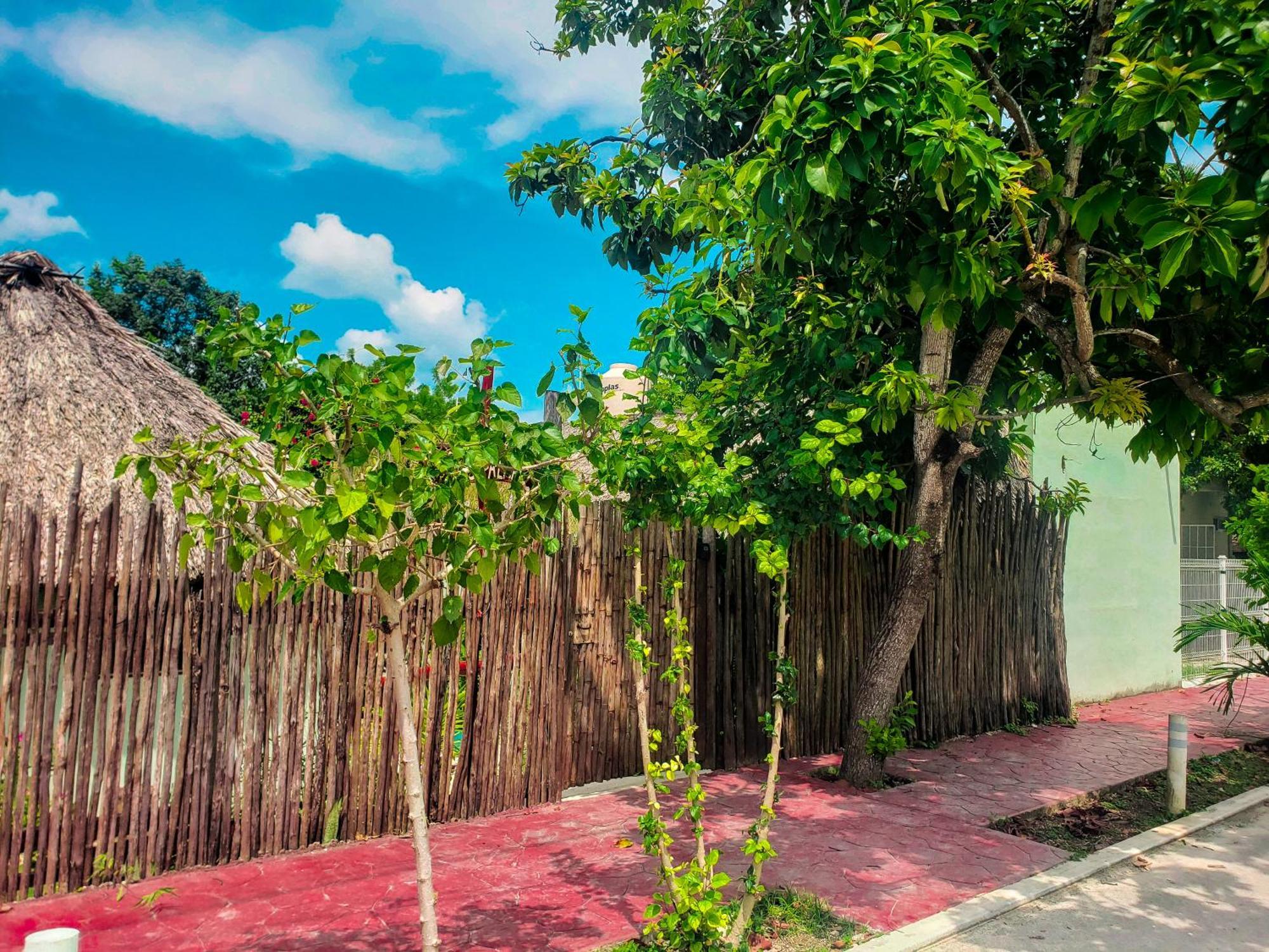 Las Palmas Bacalar Zewnętrze zdjęcie